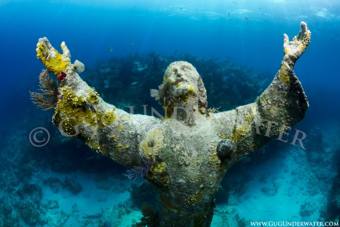HOLY WATERS